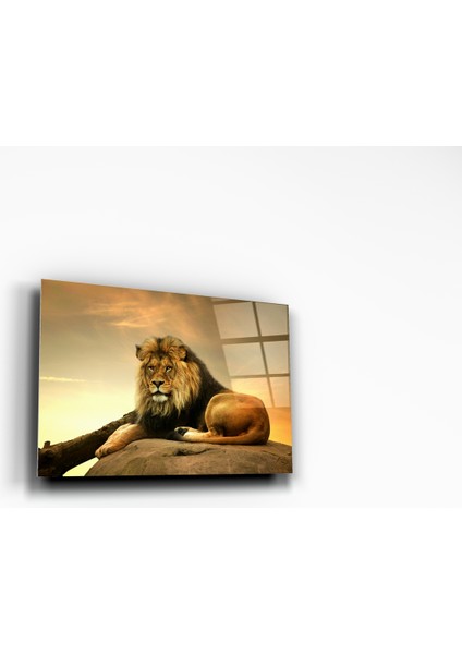 Aslan