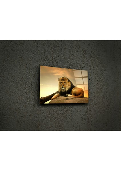 Aslan