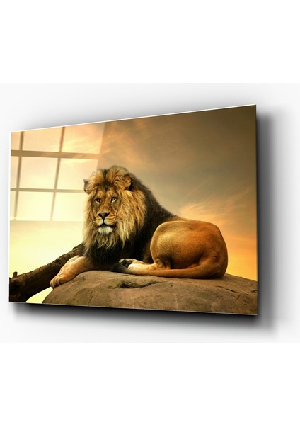 Aslan