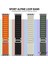 Apple Watch Series 3 2 1 38MM Uyumlu Kordon Alpine Loop Tasarım Kordon Kayış 5