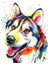 Renkli Husky Çerçeveli 60X75 Sayılarla Boyama Hobi Seti 1