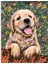 Sevimli Yavru Köpek 1 Çerçeveli 40X50 Sayılarla Boyama Hobi Seti 1