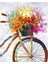 Çiçek Bisikleti Çerçeveli 60X75 Sayılarla Boyama Hobi Seti 1