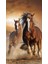Koşuşan Atlar Çerçeveli 90X110 Sayılarla Boyama Hobi Seti 1