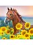Ayçiçek Tarlasında At Çerçeveli 40X50 Sayılarla Boyama Hobi Seti 1