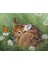 Buzağı Çerçeveli 40X50 Sayılarla Boyama Hobi Seti 1