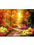 Ormanda Sonbahar Manzarası Çerçeveli 50X65 Sayılarla Boyama Hobi Seti 1