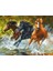 Koşan Atlar Çerçeveli 60X75 Sayılarla Boyama Hobi Seti 1