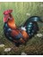 Erken Öten Horoz Çerçeveli 90X110 Sayılarla Boyama Hobi Seti 1