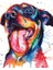 Renkli Rottweiler Çerçeveli 50X65 Sayılarla Boyama Hobi Seti 1