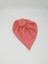 Bebek Donut Bone - Donut Bandana 1