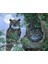 Gece Baykuşları Çerçeveli 90X110 Sayılarla Boyama Hobi Seti 1