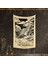 Tarot Kartı The Chariot Duvar Örtüsü Halısı 1