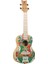 RUAR-HY Art Series Concert Ukulele (Himalaya) 1