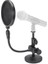 MD2/PS05 Masaüstü Mikrofon Sehpası Pop Filtre 4