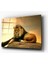 Aslan 3