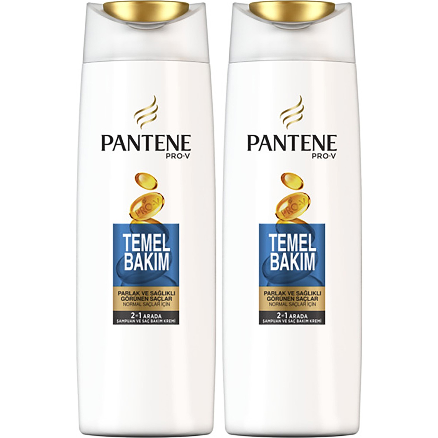 Pantene 2�si 1 Arada Şampuan ve Saç Bakım Kremi Temel