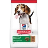 Hills Puppy Medium Lamb Kuzu Etli Yavru Köpek Maması 14 Kg