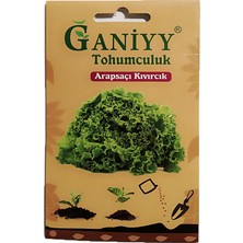 Ganiyy Arapsaci Kivircik Tohumu