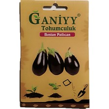 Ganiyy Bostan Patlıcan Tohumu