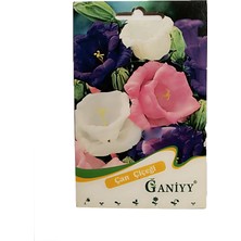 Ganiyy Can Çiçeği Tohumu