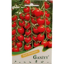 Ganiyy Çeri Domates Tohumu