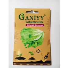 Ganiyy Göbekli Kıvırcık Tohumu
