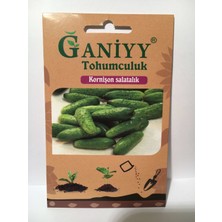 Ganiyy Kornişon Salatalık Tohumu