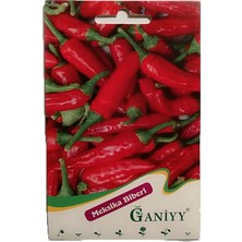 Ganiyy Meksika Biberi Tohumu