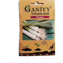 Ganiyy Pırasa Tohumu