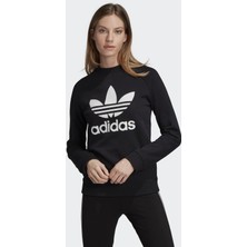 adidas Dv2612 Trf Crew Sweat Kadın Sweatshirt