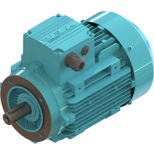 Elk 0.25 kw 1/3 Hp 1500 D/d-B14 (2EL071M4B) 380 400 Volt Trifaze Ie2 B14 Ayaksız Flanşlı Elektrik Motoru