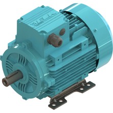 Elk 0.55 kw 3/4 Hp 1000 D/d-B3 (2EL080M6B) 380 400 Volt Trifaze Ie2 B3 Ayaklı Elektrik Motoru