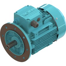 Elk 0.37 kw 1/2 Hp 3000 D/d-B5 (2EL071M2A) 380 400 Volt Trifaze Ie2 B5 Ayaksız Flanşlı Elektrik Motoru