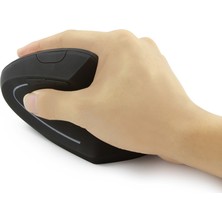 TriLine Kablosuz JSY-1 1600DPI Ergonomik Dikey Mouse