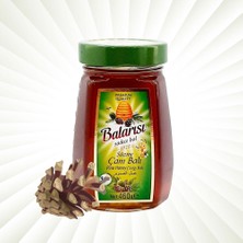 Balarısı Çam Balı 460 gr