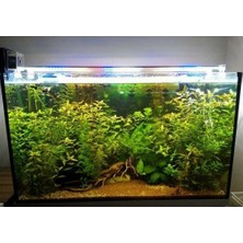 AquaLed Led Aydınlatma Armatür Karışık Renkli Beyaz-Kırmızı-Mavi 70Cm