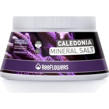 Reeflowers Caledonia Mineral Salt 500Ml