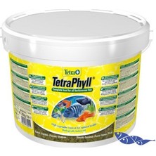 Tetra Phyll 100Gr. Açık