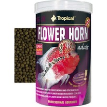 Tropical Flower Horn Adult 6Mm 50Gr (Açık)
