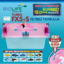 Biolife Fx5-S Turbo Yavruluk