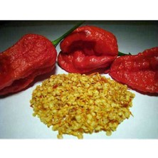 Tohumcu Kikizade Carolina Reaper Dünya'nın En Acı Biberi Tohumu 2,2 Milyon Scoville 10'lu