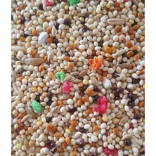 Woddy Karışık Muhabbet kuşu Yemi 1 kg
