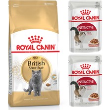 Royal Canin Adult Yetişkin British Shorthair Kedi Maması 2 kg + Royal Canin Instictive  Parça Etli Yaş Kedi Maması 2 Adet