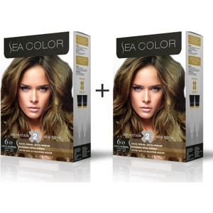 Sea Color Koyu Kumral Set Boya