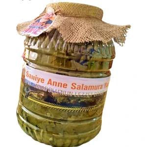 Saniye Anne Salamura Yaprak 5 kg