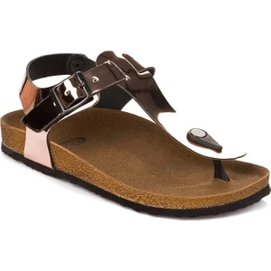 Fox Shoes Bronz Kadın Sandalet B777805034