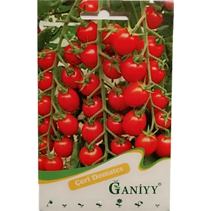 Çeri Domates Tohumu