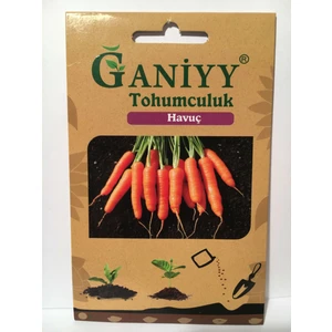 Havuç Tohumu