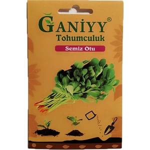 Semiz Otu Tohumu